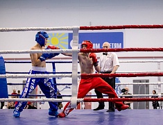 Фестиваль единоборств «Знамя Победы»