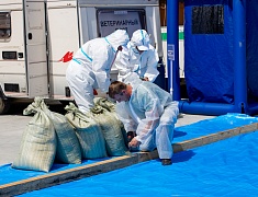 Командно-штабные учения по ликвидации условного очага особо опасного заболевания животных