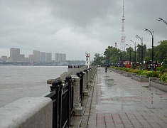 Больше 100 благовещенцев почтили память детей-жертв войны в Донбассе