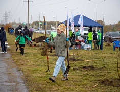 Аллею из сирени в 1,5 километра высадили в отдаленном районе Благовещенска