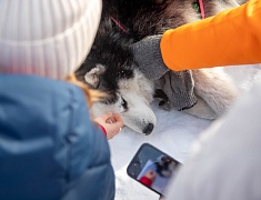 В Благовещенске прошла «Лыжня России»