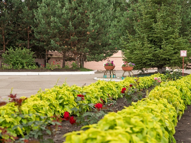 Благовещенцам расскажут как правильно создать цветник
