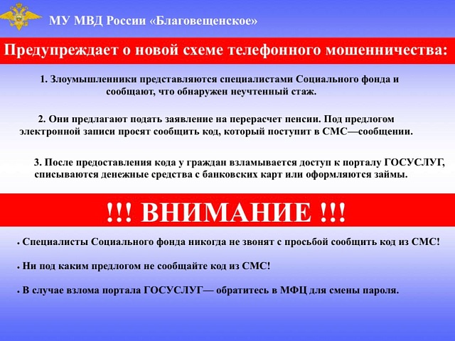 Мошенники добрались до личных кабинетов благовещенцев на Госуслугах