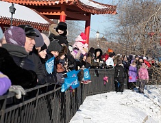 В Благовещенске дали старт Году семьи 