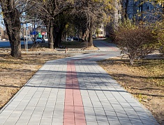 Мэр Благовещенска провел рабочую встречу по благоустройству улицы Горького