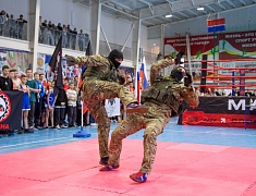 Чемпионат и первенство Амурской области по муай-тай прошли в Благовещенске