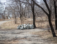 Общегородской субботник "Город берегу"