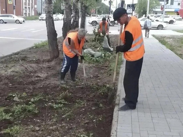 20 тысяч квадратных метров газонов: Благовещенск продолжают озеленять