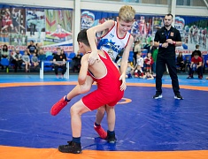 В Благовещенске прошли соревнования по вольной борьбе памяти Героя России Ивана Цевуна