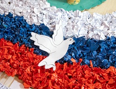 Благовещенск представил опыт патриотической работы федеральной комиссии