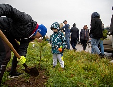 Аллею из сирени в 1,5 километра высадили в отдаленном районе Благовещенска