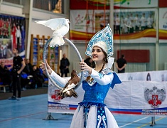 Чемпионат и первенство Амурской области по боксу стартовали в Благовещенске