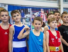 Чемпионат и первенство Амурской области по муай-тай прошли в Благовещенске