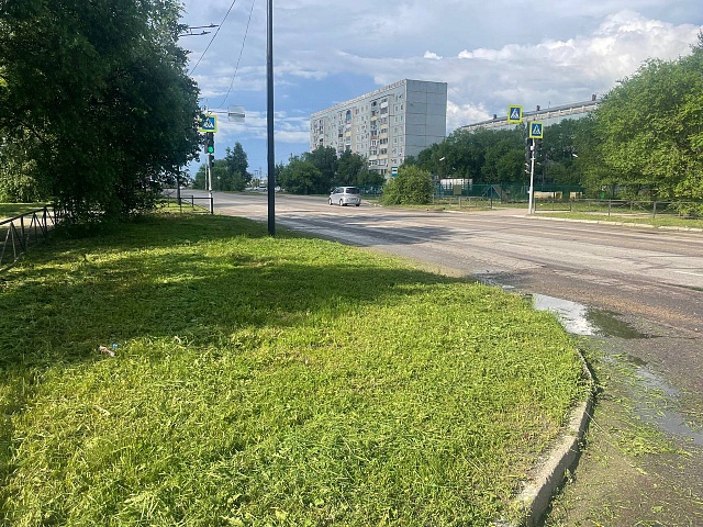 Железнодорожная, Больничная, Василенко: на каких улицах косили траву с начала недели?