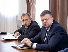 Мэр Благовещенска Олег Имамеев высказался о проблеме бродячих собак