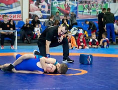 В Благовещенске прошли соревнования по вольной борьбе памяти Героя России Ивана Цевуна