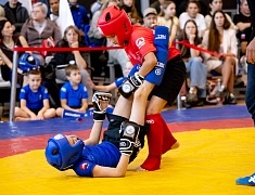 В Благовещенске прошёл открытый кубок города по спортивной борьбе