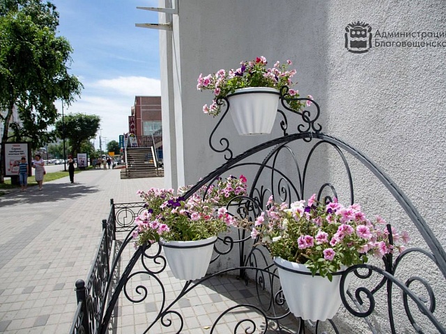 Прогноз погоды в Благовещенске на 11 августа: 