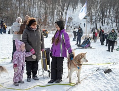 В Благовещенске прошла «Лыжня России»