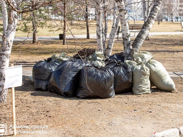 Утилизируем правильно! Куда отправить мешки с мусором после субботника