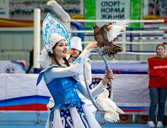 Чемпионат и первенство Амурской области по боксу стартовали в Благовещенске