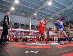 Чемпионат и первенство Амурской области по муай-тай прошли в Благовещенске
