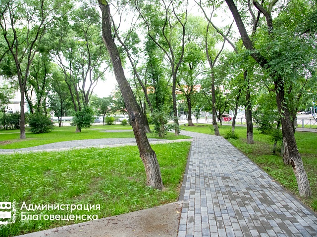 На улице Калинина в Благовещенске высадят ясени