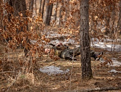 В Благовещенске завершился муниципальный этап «Зарницы»
