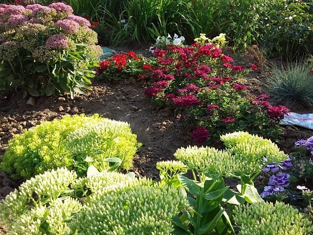 В цвету и зелени: управляющие компании Благовещенска продолжают активную работу по озеленению городских территорий