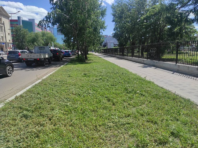 Бригады по покосу травы ежедневно работают на улицах города