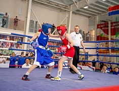 В спорткомплексе «Юность» стартовали соревнования по боксу среди юношей 13-14 лет