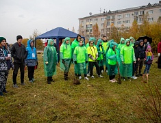Аллею из сирени в 1,5 километра высадили в отдаленном районе Благовещенска