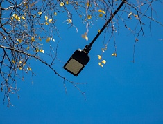 Мэр Благовещенска провел рабочую встречу по благоустройству улицы Горького