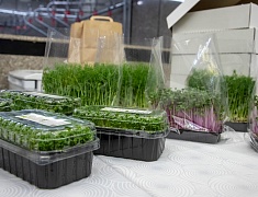 В ОКЦ подвели промежуточные итоги реализации корпоративных программ в учреждениях Благовещенска