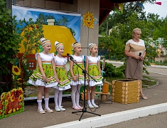 Благовещенские воспитатели поделились опытом с коллегами из муниципалитетов области и Якутии