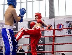 Фестиваль единоборств «Знамя Победы»