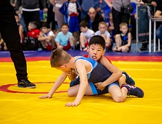 Дальневосточные соревнования по вольной борьбе "Кубок Содружества"