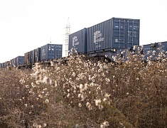 В рамках акции «Город берегу» большой субботник прошел на улице Чайковского