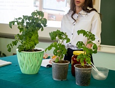 Школьники Благовещенска представили свои научные проекты на конференции «Старт в науку»