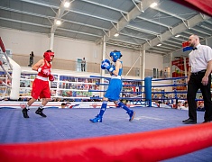 В спорткомплексе «Юность» стартовали соревнования по боксу среди юношей 13-14 лет