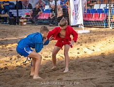 В Благовещенске отпраздновали День физкультурника