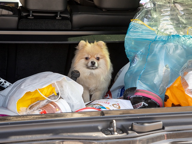 В Благовещенске на акции «Город берегу. Раздельный сбор» соберут экспериментальную партию новой фракции в 100 кг
