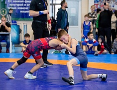 Столица Приамурья стала площадкой для соревнования по вольной борьбе
