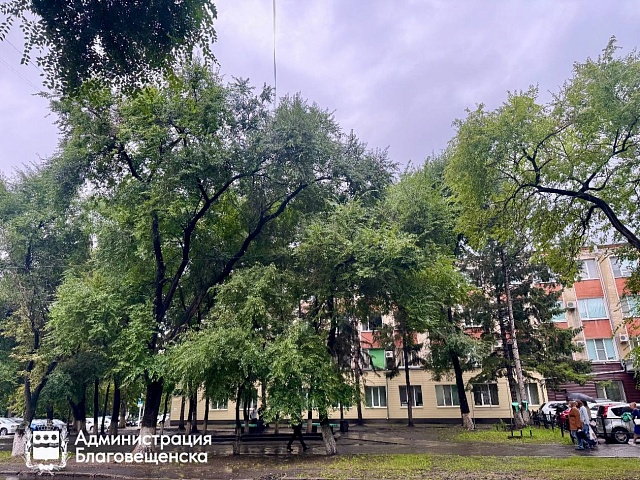 Перекресток Шевченко и Зейской в Благовещенске готовится к изменениям!