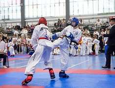 Почти три сотни спортсменов собрал турнир по тхэквондо в Благовещенске