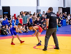Первенство по вольной борьбе, посвященное памяти бойца СВО Владислава Мазуркова