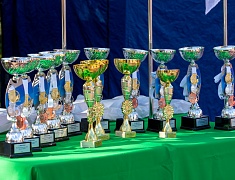 «Кросс нации»