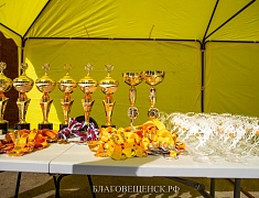 В День физкультурника в Благовещенске прошли соревнования "Оранжевый мяч"