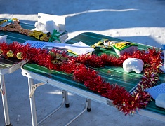 В Благовещенске выбрали лучшие "Балалайки для зайки"