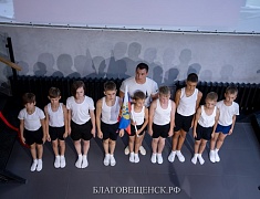 В Благовещенске подвели итоги проекта «Спорт в искусстве»